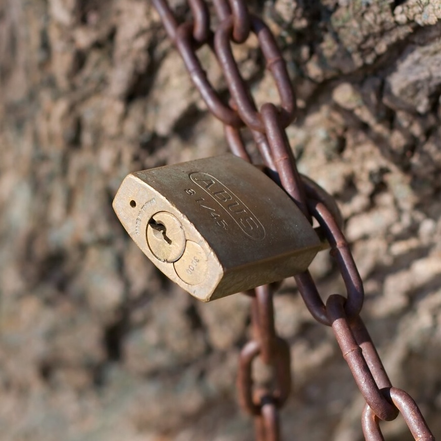 A brass padlock on a rusted chain